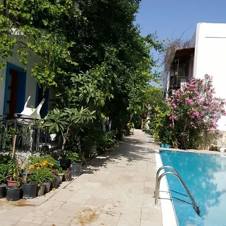 Отель Nursu Битез